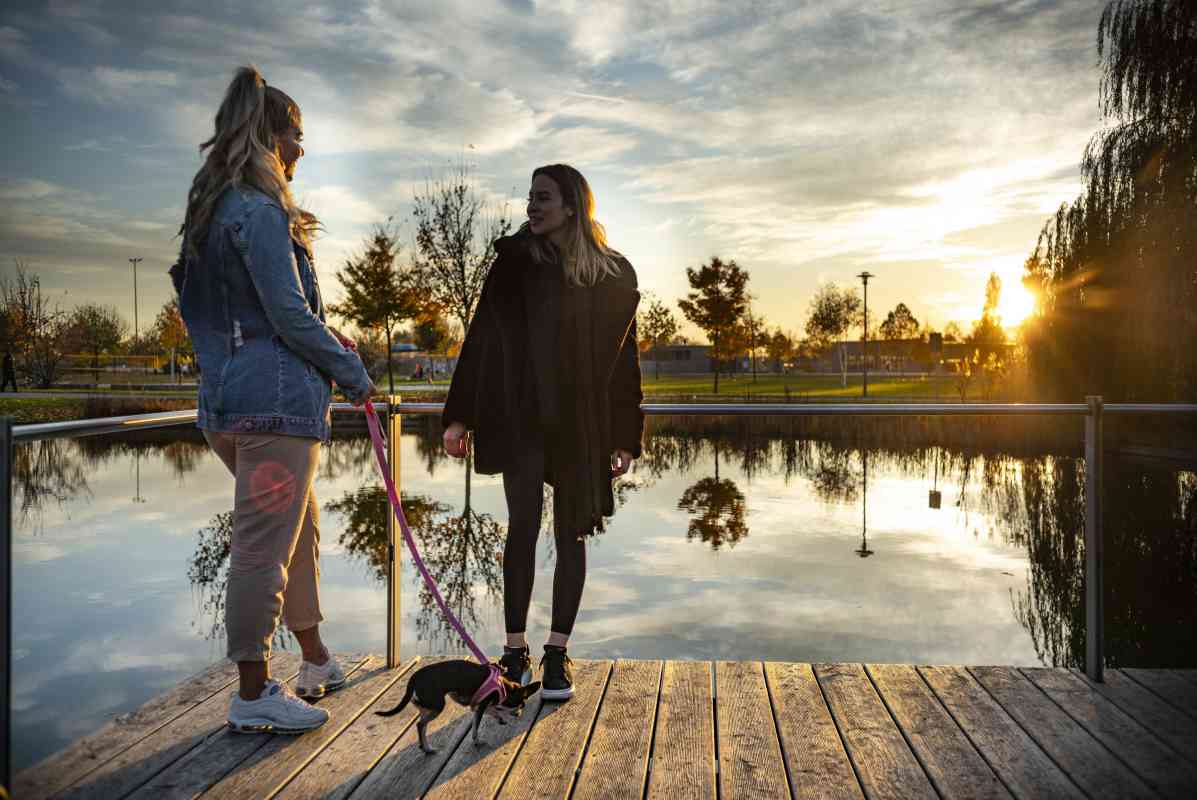 Weiher im Sportpark